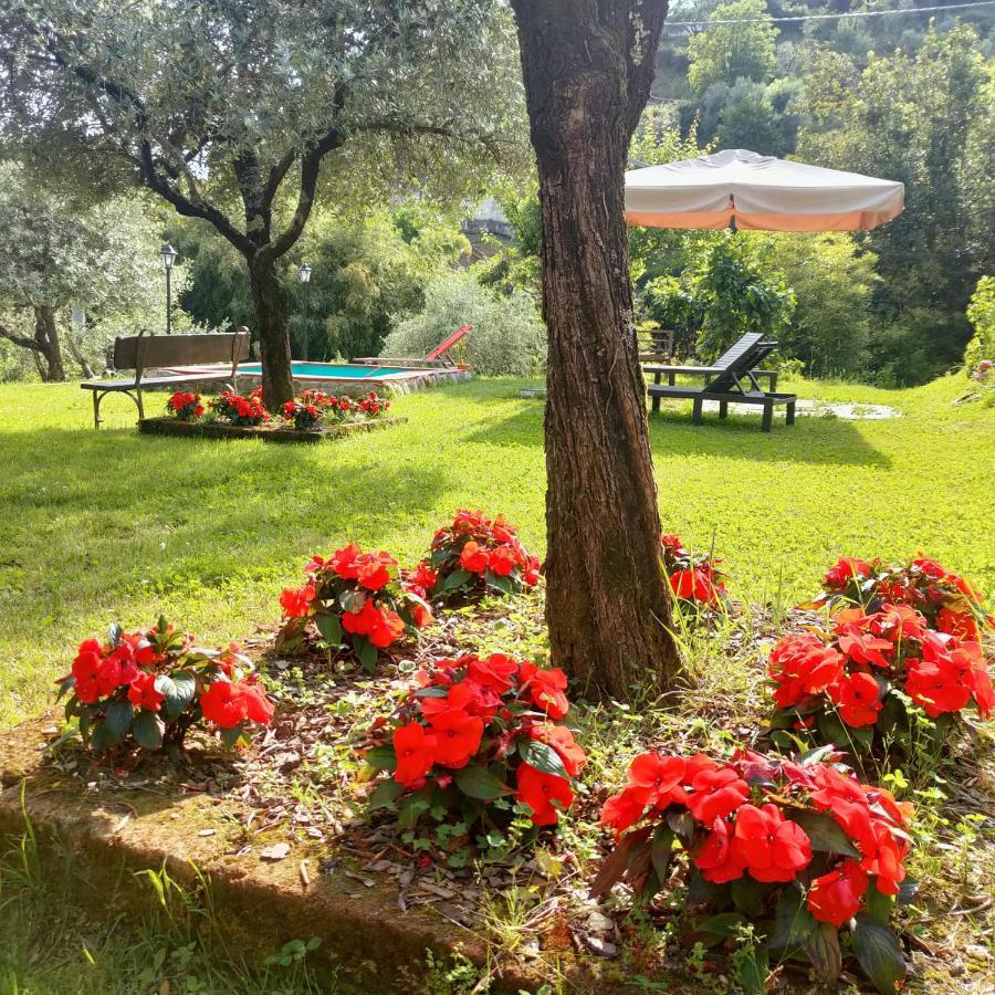 La Nicchia Di Franco Villa Montignoso Dış mekan fotoğraf