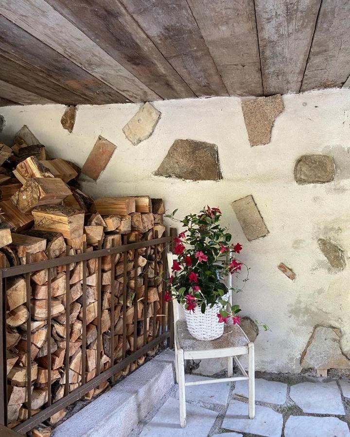 La Nicchia Di Franco Villa Montignoso Dış mekan fotoğraf