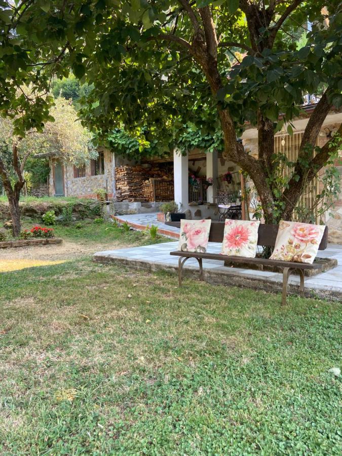 La Nicchia Di Franco Villa Montignoso Dış mekan fotoğraf