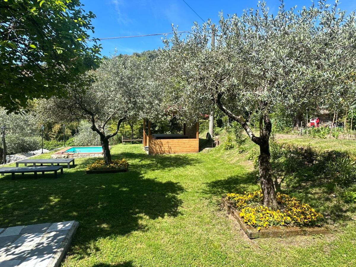 La Nicchia Di Franco Villa Montignoso Dış mekan fotoğraf